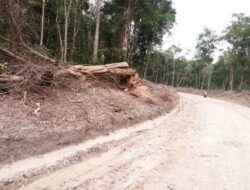 Bikin Jalan di Kawasan Hutan, Pemkab Muaro Jambi Akan Digugat