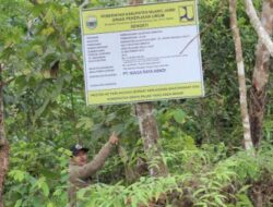 Proyek Jalan Masuk Kawasan Hutan, Dilaporkan ke Kejari Muaro Jambi