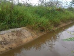 Proyek Irigasi Sawah di Sekoja, Amburadul