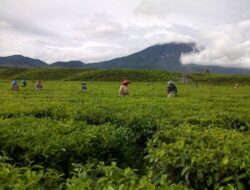 Semalam di Kerinci