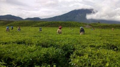 Semalam di Kerinci