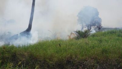 Perkumpulan Hijau Temukan Kebakaran di Areal Moratorium Gambut