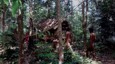 Pendekatan terhadap Orang Rimba Mesti Terbuka dengan Kultur dan Perkembangannya