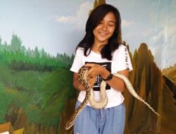 Kenalkan Keanekaragaman Hayati, LP2LH Gelar Animals Exhibition and Gathering