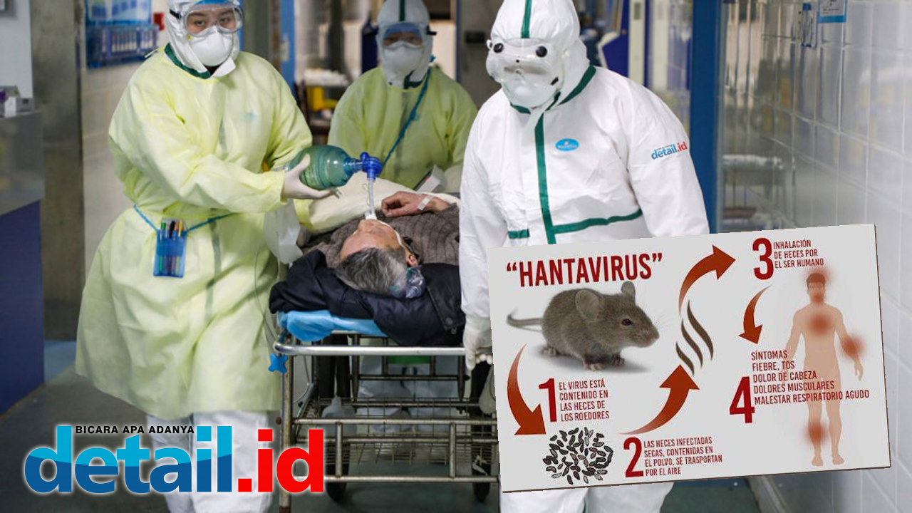 Hantavirus