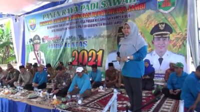 Bupati Masnah Panen Raya Padi di Kumpeh Ulu