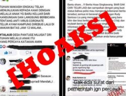 HOAKS: Bayi Baru Lahir Langsung Ngomong, Makan Telur Rebus Sebelum Jam 12 Malam untuk Cegah Virus Korona