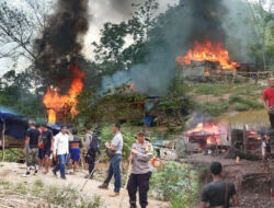 Aparat Gabungan Bakar Perkampungan Tambang Emas Ilegal di Sungai Sipa