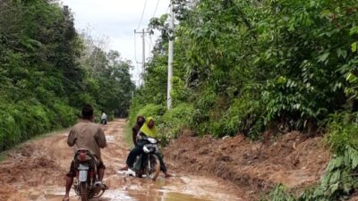 Jalan Penghubung Tiga Desa di Kecamatan Pemayung Bak Kubangan Kerbau