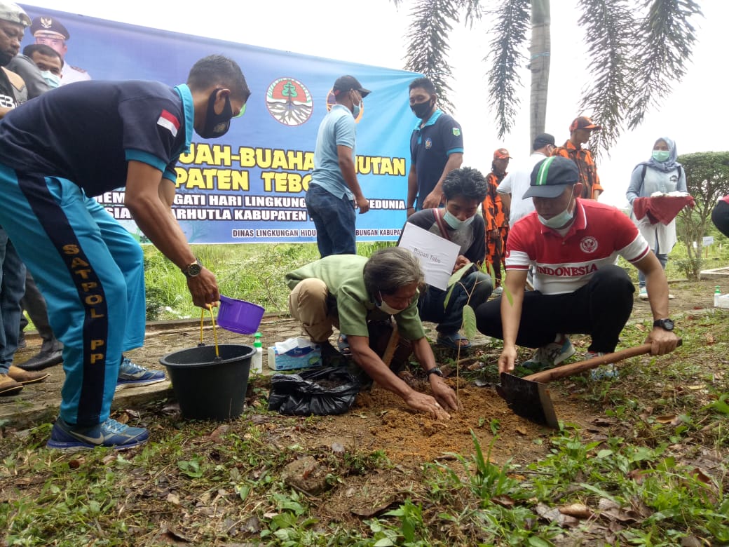 Bersama Temenggung SAD, Bupati Tebo Tanam Pohon Buah Hutan yang Sudah Langka 