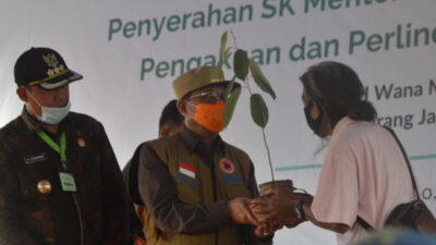 Temenggung SAD Serahkan Bibit Tanaman Endemik kepada Gubernur Jambi 