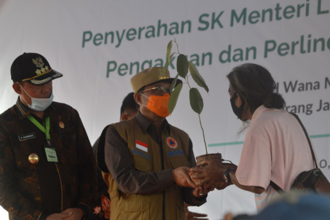 Temenggung SAD Serahkan Bibit Tanaman Endemik kepada Gubernur Jambi 