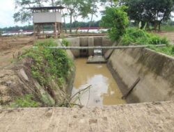 “Kiamat” di Kunangan, Sawah Berubah Jadi Stockpile Batu Bara