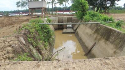 “Kiamat” di Kunangan, Sawah Berubah Jadi Stockpile Batu Bara