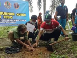 Bibit Tanaman Endemik dari Hutan Suku Anak Dalam