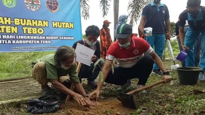 Bibit Tanaman Endemik dari Hutan Suku Anak Dalam