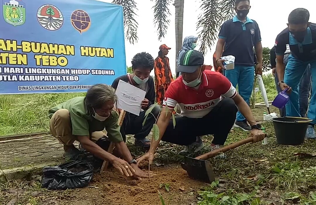 Bibit Tanaman Endemik dari Hutan Suku Anak Dalam