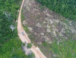 Claim and Blame di Hutan Harapan