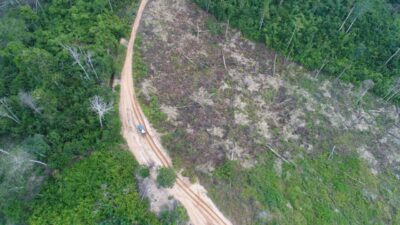 Claim and Blame di Hutan Harapan