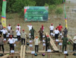 Bupati Safrial Bersama Gubernur Jambi Tanam Mangrove di Kawasan Pelabuhan Roro