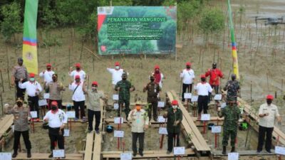 Hari Mangrove Sedunia