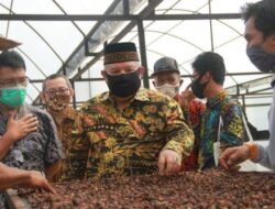 Bupati Safrial Resmikan Gedung Produksi Kopi Liberika