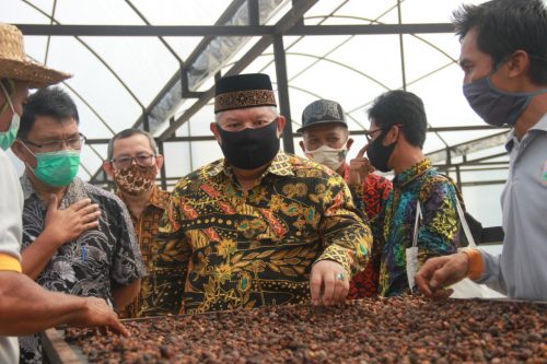 Kopi Liberika