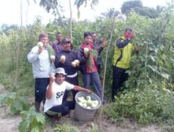 Generasi Pertama Transmigran Butuh Lahan Pengembangan