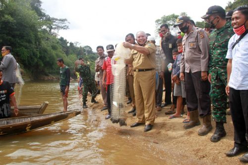 Panen Ikan