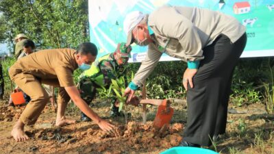 DAS Pengabuan Betara