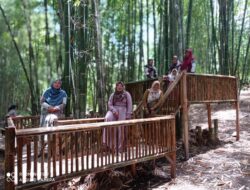 Menyambangi Wisata Alam Hutan Bambu Buluh Perindu