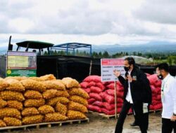 Jokowi Tinjau Food Estate Humbang Hasundutan – SUMUT