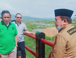 Wilayah Pegunungan Kerinci Susah Sinyal Internet, Al Haris: Kita Akan Bangun Tower Internet Gratis