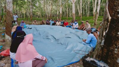 Dialog di Tengah Kebun Karet, Petani: Al Haris Beri Solusi untuk Petani Karet