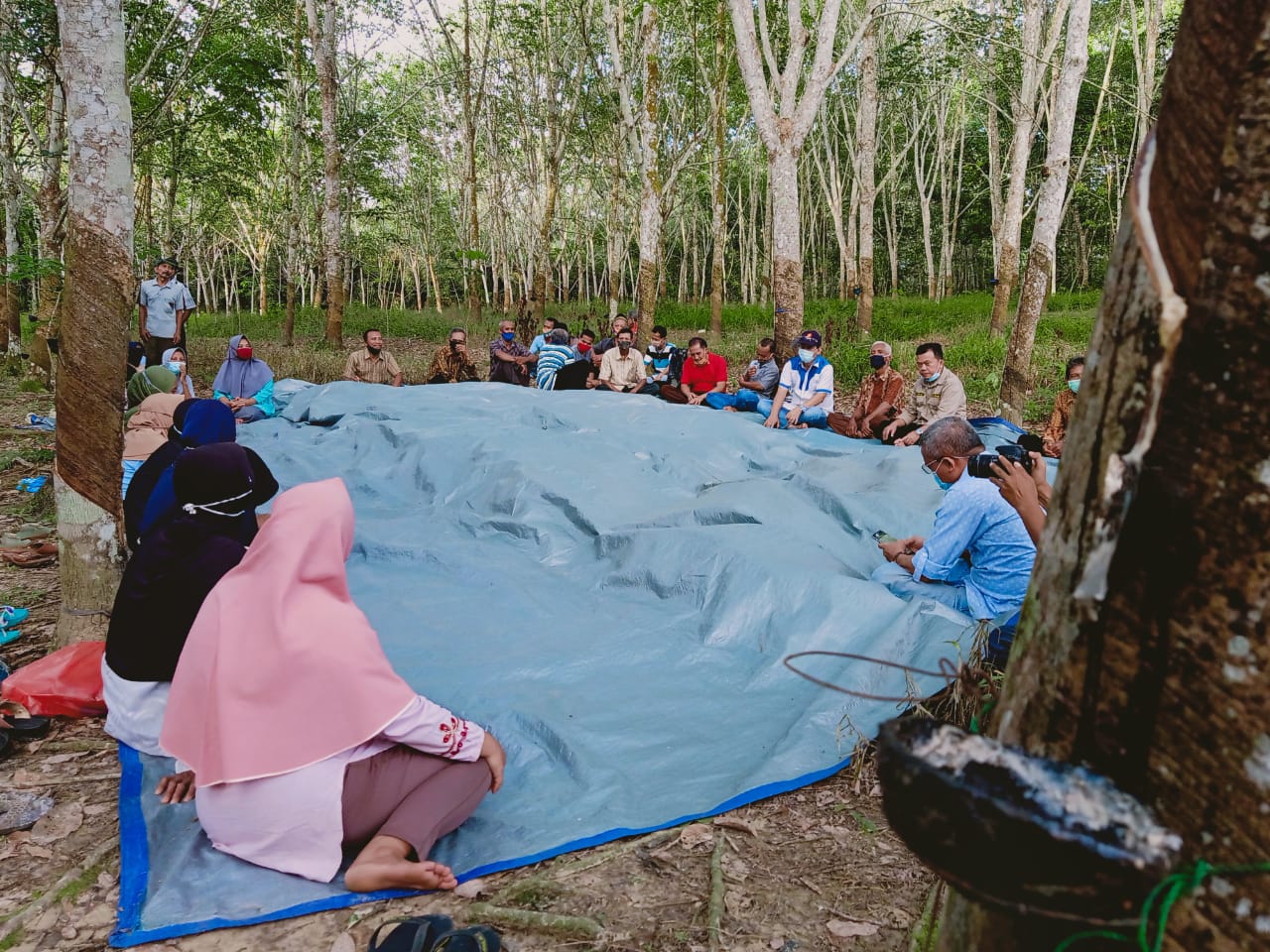 Dialog di Tengah Kebun Karet, Petani: Al Haris Beri Solusi untuk Petani Karet