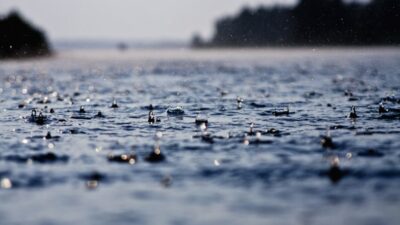 Petrichor, Bau Khas Tanah Tersiram Hujan yang Menyenangkan