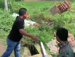 Pria yang Buang Telur Ayam ke Sawah Minta Maaf setelah Videonya Viral