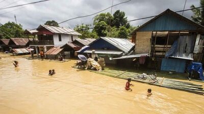 LAPAN: Penyebab Banjir Kalsel karena 139 Ribu Hektar Hutan Hilang