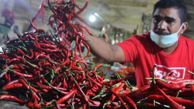 Harga Cabai Merah Turun 39 Persen!