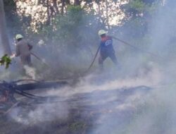 Ratusan Hektar Hutan di Bintan Terbakar, Paru-paru Dunia Semakin Habis