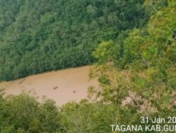 10 Hektare Lahan Pertanian di Gunungkidul Terendam Akibat Air Diguyur Hujan Deras