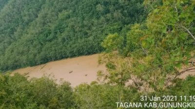 10 Hektare Lahan Pertanian di Gunungkidul Terendam Akibat Air Diguyur Hujan Deras