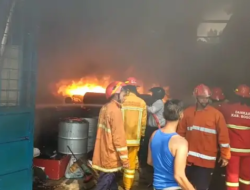 ODGJ Bakar Sampah, Pabrik Pengolahan Fiber Glass di Bogor Terbakar