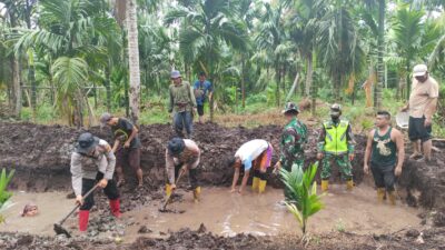 Tanjungjabung Barat