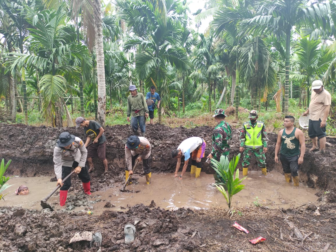 Tanjungjabung Barat