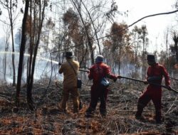 Gubernur Riau Tak Ingin Ada Lagi Petani Ditangkap karena Karhutla