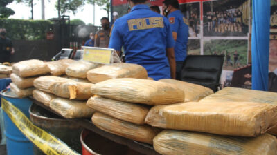 144,5 Ton Ganja Diamankan Satresnarkoba Polres Metro Jakarta Barat dari Sumut