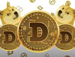 Usai Melesat 3300% DogeCoin Diperkirakan Masih Bisa Naik 1000% dari Nilai Sekarang, CEO Indodax Ikut Buka Suara