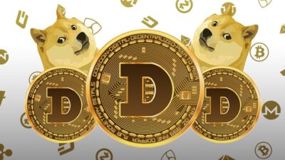 Usai Melesat 3300% DogeCoin Diperkirakan Masih Bisa Naik 1000% dari Nilai Sekarang, CEO Indodax Ikut Buka Suara