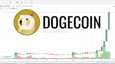 DogeCoin Melesat! Dalam Tempo 3 Bulan Melonjak 3300%